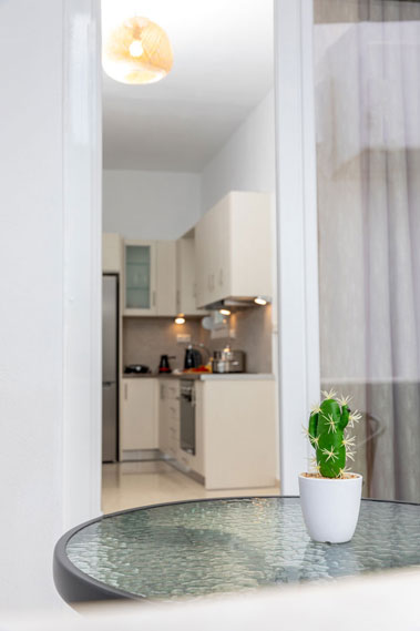 Naxian Asset Agios Arsenios - Fully equipped kitchen
